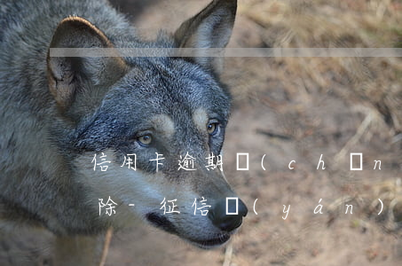 信用卡逾期產(chǎn)生的征信如何消除-征信嚴(yán)重逾期怎么辦信用卡