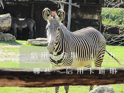信用卡逾期產(chǎn)生的法律責任有哪些-信用卡逾期產(chǎn)生的法律責任有哪些呢
