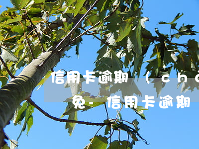 信用卡逾期產(chǎn)生的滯納金能否減免-信用卡逾期產(chǎn)生的滯納金能否減免呢