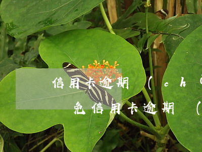 信用卡逾期產(chǎn)生的滯納金能否減免(信用卡逾期產(chǎn)生的滯納金能否減免利息)