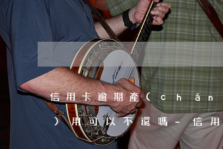 信用卡逾期產(chǎn)生的費(fèi)用可以不還嗎-信用卡逾期產(chǎn)生的費(fèi)用可以不還嗎怎么辦