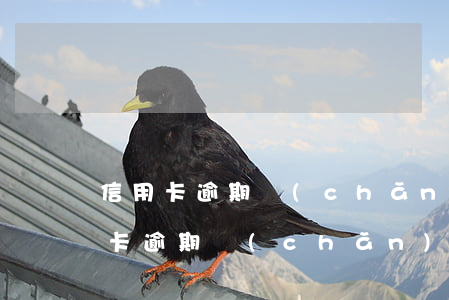 信用卡逾期產(chǎn)生的違約金(信用卡逾期產(chǎn)生的違約金和利息法院怎么判)
