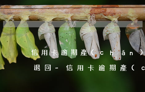 信用卡逾期產(chǎn)生的違約金可以退回-信用卡逾期產(chǎn)生的違約金可以退回嗎