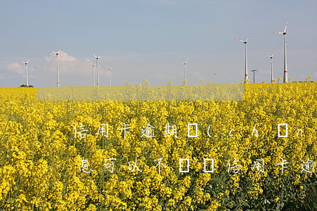 信用卡逾期產(chǎn)生的違約金和利息可以不還嗎(信用卡逾期產(chǎn)生違約金是否可以不給)