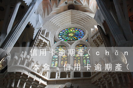 信用卡逾期產(chǎn)生高額利息還完本金-信用卡逾期產(chǎn)生高額利息還完本金還能用嗎