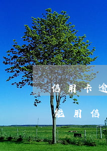 信用卡逾期用不了了后面可以用嗎-逾期還能用信用卡嗎
