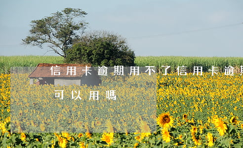 信用卡逾期用不了 信用卡逾期用不了了后面可以用嗎