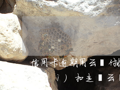 信用卡逾期用云閃付收錢(qián)會(huì)扣走嗎(云閃付信用卡可以收款嗎)