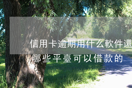 信用卡逾期用什么軟件還(信用卡逾期了,還有哪些平臺可以借款的?)