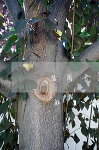 信用卡逾期用專業(yè)術(shù)語解釋(信用卡逾期用專業(yè)術(shù)語解釋)