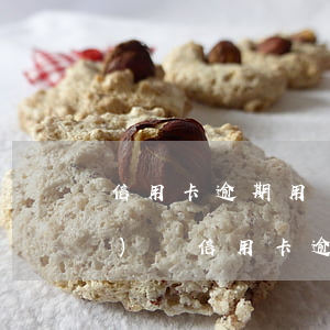 信用卡逾期用戶(hù)如何網(wǎng)貸(信用卡逾期能網(wǎng)貸嗎)