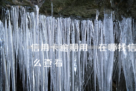 信用卡逾期用戶在哪找(信用卡有沒有逾期怎么查看)
