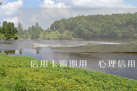 信用卡逾期用戶心理(信用卡逾期用戶心理測評)