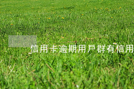 信用卡逾期用戶群(有信用卡逾期的人嗎)