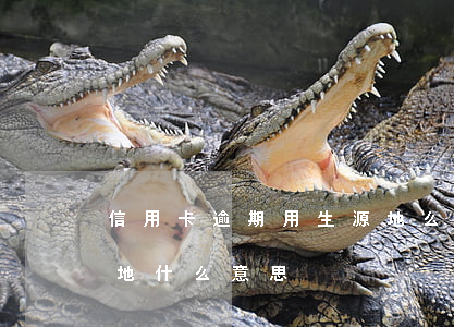 信用卡逾期用生源地么(信用卡逾期移交戶籍地什么意思)