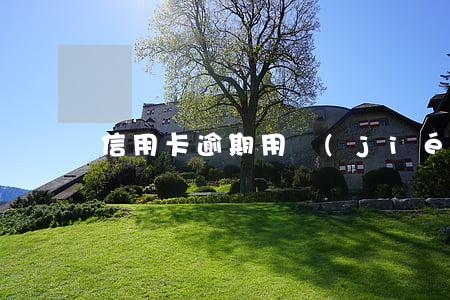 信用卡逾期用結(jié)清證明可以作廢嗎
