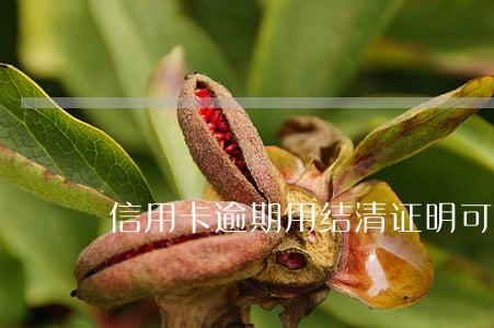 信用卡逾期用结清证明可以作废吗