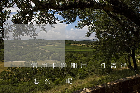 信用卡逾期用郵件寄律師函-逾期寄律師函怎么辦呢