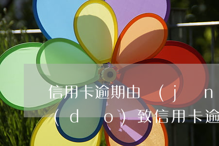 信用卡逾期由經(jīng)偵-因刑拘導(dǎo)致信用卡逾期