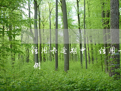 信用卡 逾期 申訴（信用卡逾期修復(fù)案例）