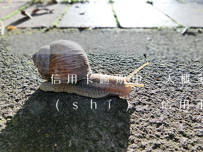 信用卡逾期申訴大概多長(zhǎng)時(shí)間(信用卡 逾期 申訴)