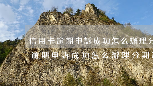 信用卡逾期申訴成功怎么辦理分期-信用卡逾期申訴成功怎么辦理分期還款