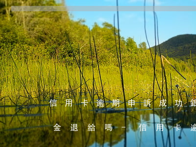 信用卡逾期申訴成功銀行會(huì)違約金退給嗎-信用卡逾期申訴成功銀行會(huì)違約金退給嗎