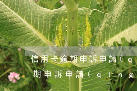 信用卡逾期申訴申請(qǐng)(信用卡逾期申訴申請(qǐng)書)
