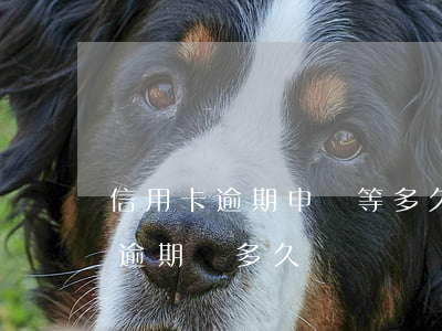 信用卡逾期申訴等多久-你們的信用卡最長逾期過多久