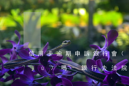 信用卡逾期申訴銀行會(huì)要證據(jù)嗎-銀行去法院起訴信用卡逾期怎么辦