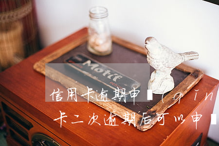 信用卡逾期申請(qǐng)2次分期(信用卡二次逾期后可以申請(qǐng)三次分期嗎)