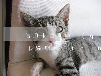 信用卡逾期申請(qǐng)修改原因(信用卡逾期申請(qǐng)修改原因有影響嗎)