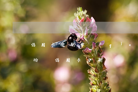 信用卡逾期申請(qǐng)停息分期能成功嗎(信用卡分期)
