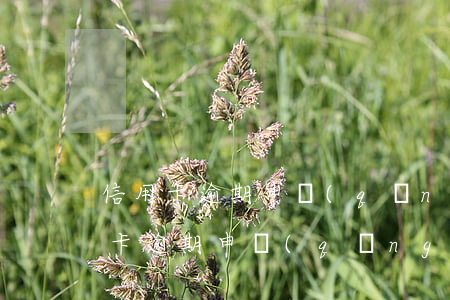 信用卡逾期申請(qǐng)停息掛賬（信用卡逾期申請(qǐng)停息）