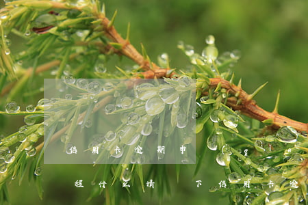 信用卡逾期申請(qǐng)停息掛賬的流程(什么情況下信用卡逾期可以停息掛賬)