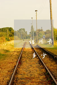 信用卡逾期申請(qǐng)停息掛賬電話多少