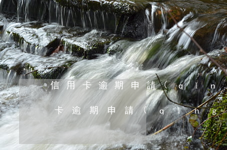 信用卡逾期申請(qǐng)免滯納金(信用卡逾期申請(qǐng)免滯納金條件)