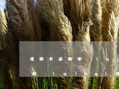 信用卡逾期申請(qǐng)分期還款去哪申請(qǐng)(信用卡逾期可以申請(qǐng)分期償還嗎)