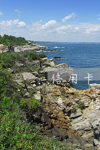 信用卡逾期申請(qǐng)分期銀行不同意-信用卡逾期申請(qǐng)分期銀行不同意怎么辦