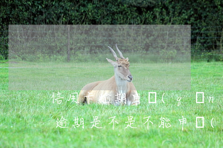 信用卡逾期申請(qǐng)別的信用卡(有逾期是不是不能申請(qǐng)信用卡)