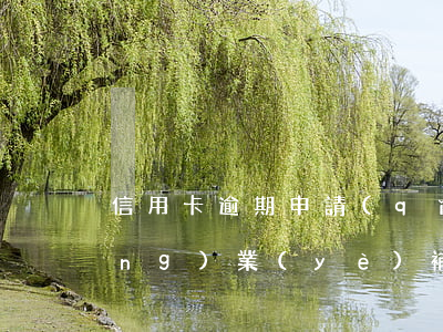信用卡逾期申請(qǐng)創(chuàng)業(yè)補(bǔ)助(信用卡逾期申請(qǐng)創(chuàng)業(yè)補(bǔ)助)