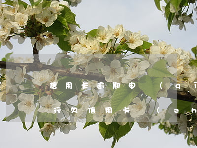 信用卡逾期申請(qǐng)執(zhí)行 欠信用卡執(zhí)行立案后果