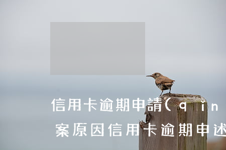 信用卡逾期申請(qǐng)報(bào)案原因(信用卡逾期申述)
