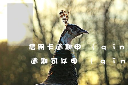 信用卡逾期申請(qǐng)它行卡(信用卡逾期可以申請(qǐng)其他信用卡嗎)