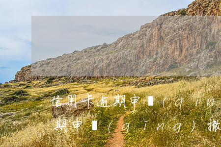 信用卡逾期申請(qǐng)撤銷(信用卡逾期申請(qǐng)撤銷)