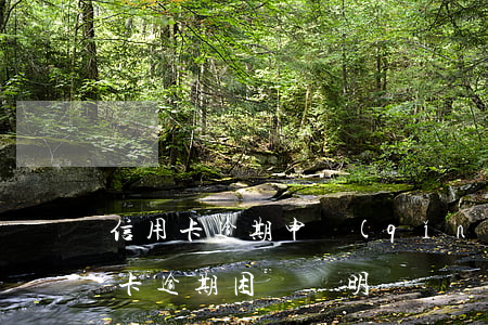 信用卡逾期申請(qǐng)撤銷證明(信用卡逾期困難證明書)