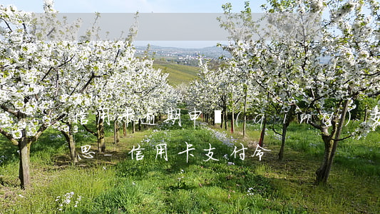 信用卡逾期申請(qǐng)支付令什么意思-信用卡 支付令