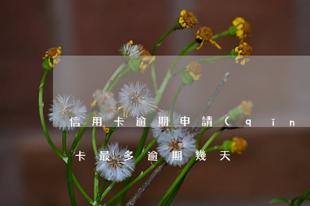 信用卡逾期申請(qǐng)最高幾期(信用卡最多逾期幾天)