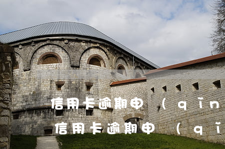 信用卡逾期申請(qǐng)減免利息范文(信用卡逾期申請(qǐng)減免利息范文怎么寫)