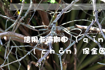 信用卡逾期申請(qǐng)財(cái)產(chǎn)保全(因財(cái)產(chǎn)保全無(wú)法還信用卡)